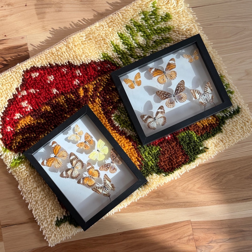 Real Shadow Box Butterfly Wall Art Set - Black Frame, Yellow & Brown Butterflies
